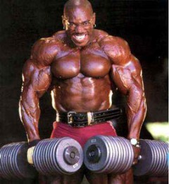 trapezius weight training